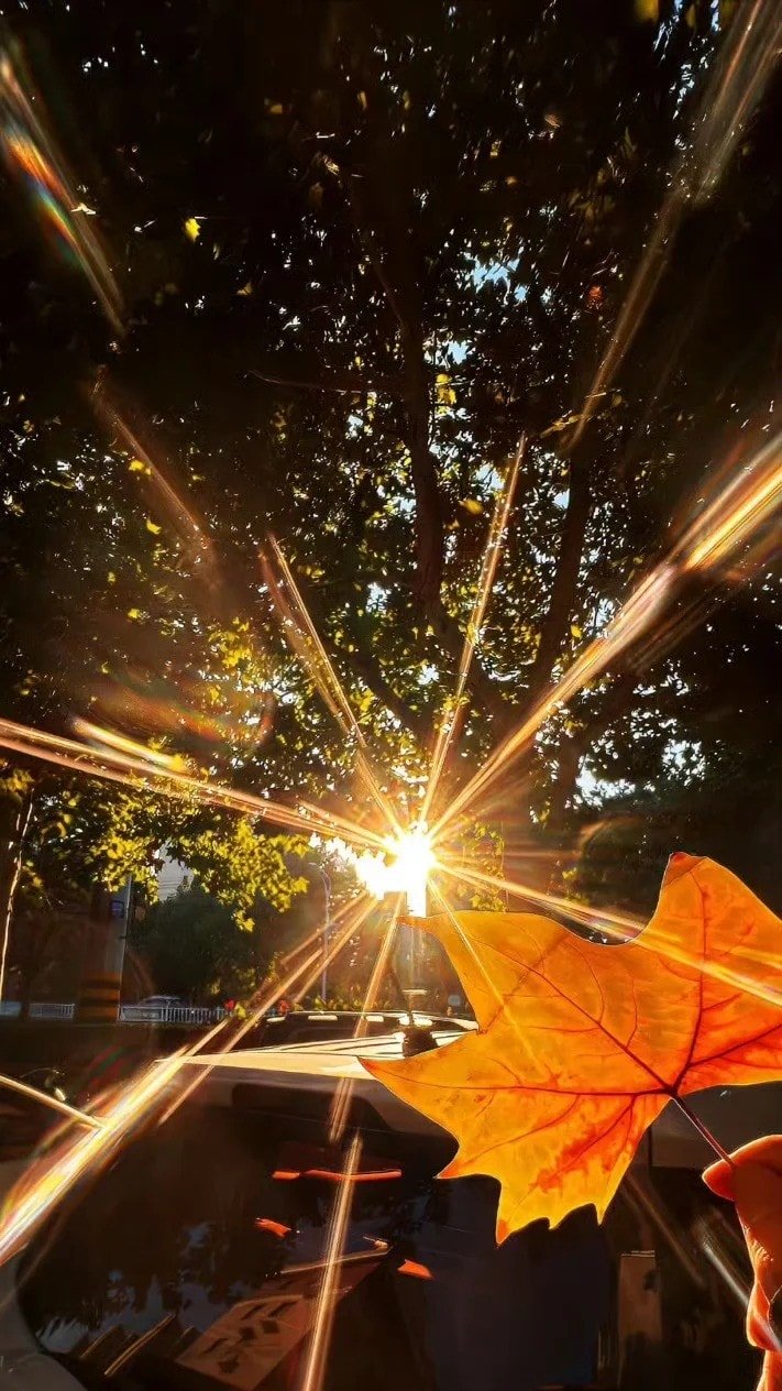 autumn background hd