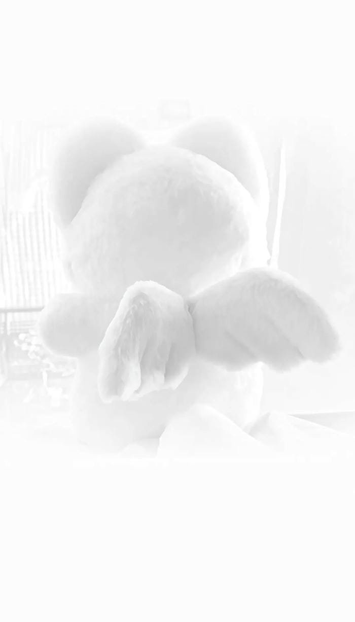 background màu trắng đơn giản