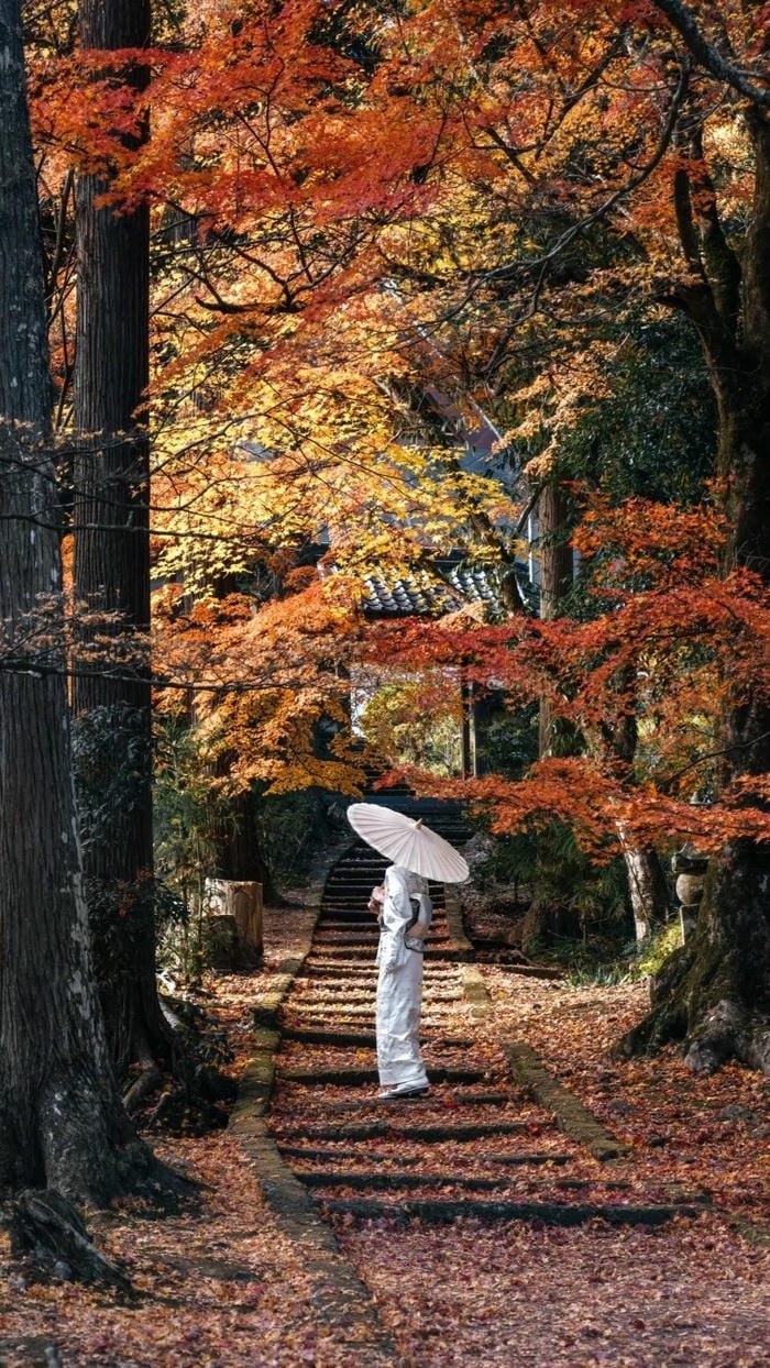 background mùa thu Nhật Bản