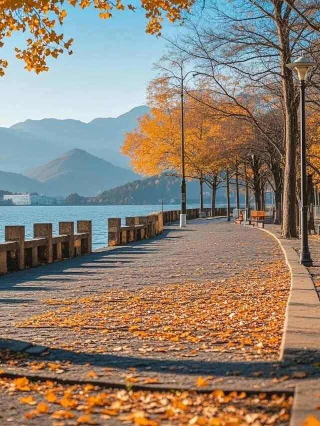 225+ Hình nền mùa thu cực chill cho dế yêu đổi phong cách