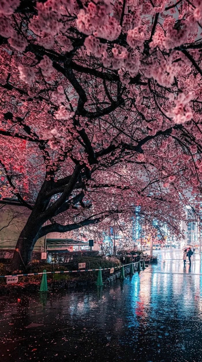 hình nền Nhật Bản cổ