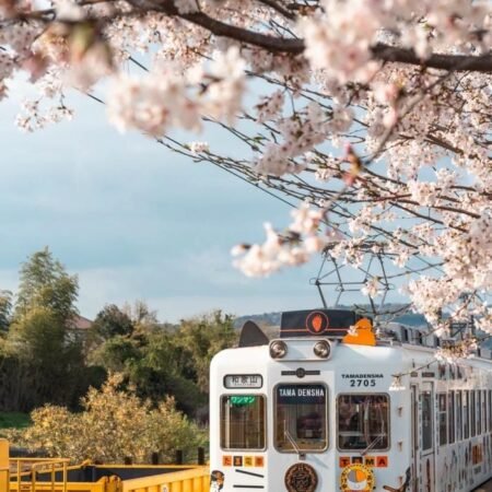 Khám phá 200+ hình nền Nhật Bản 4K mang vẻ đẹp tinh tế