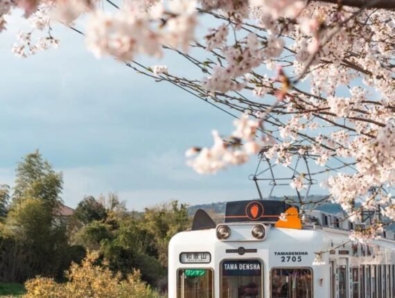 Khám phá 200+ hình nền Nhật Bản 4K mang vẻ đẹp tinh tế