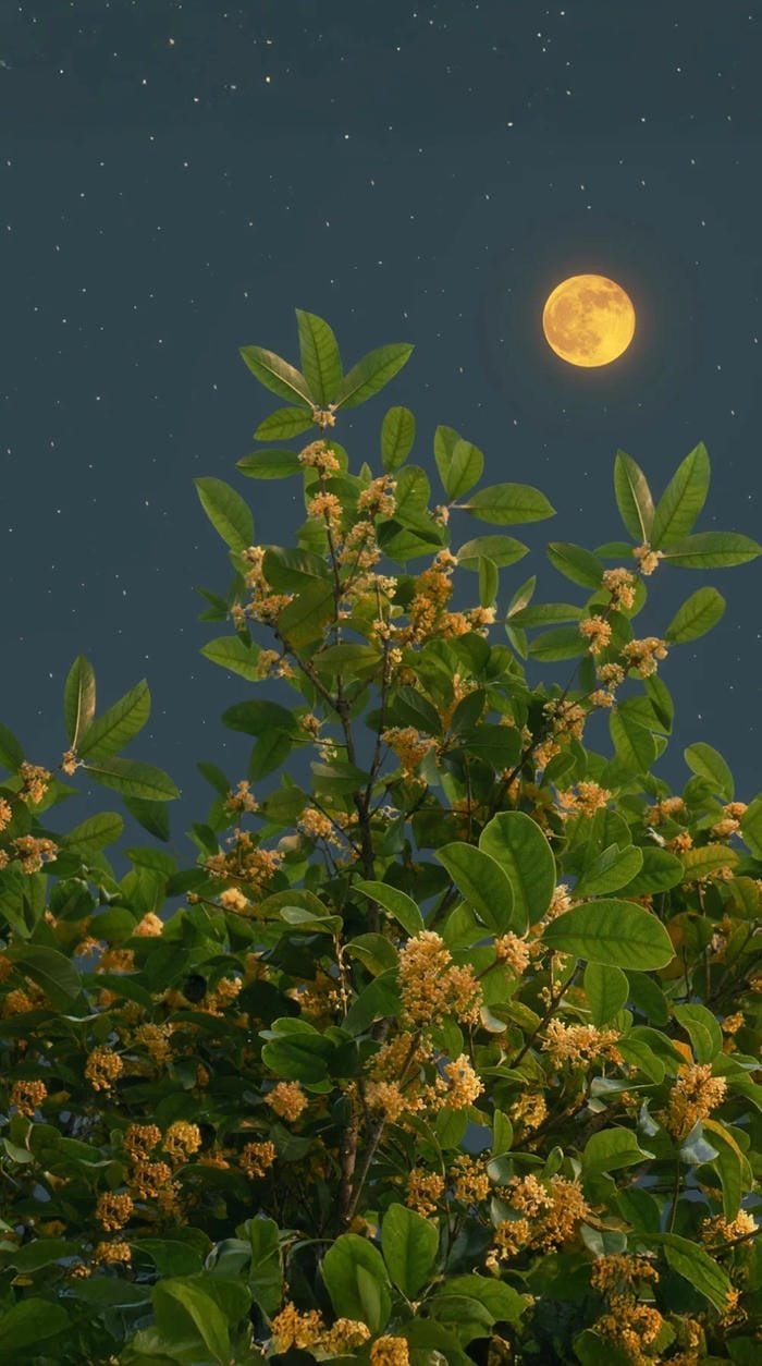 hình nền lá nguyệt quế 4k