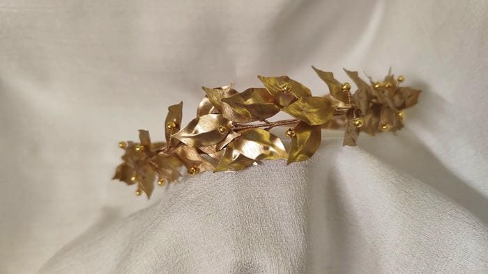 hình nền lá nguyệt quế máy tính