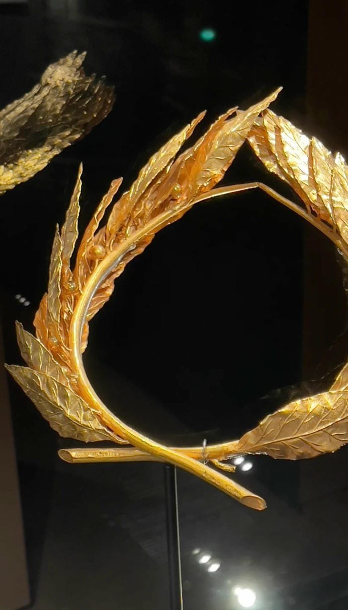 hình nền lá nguyệt quế tinh tế