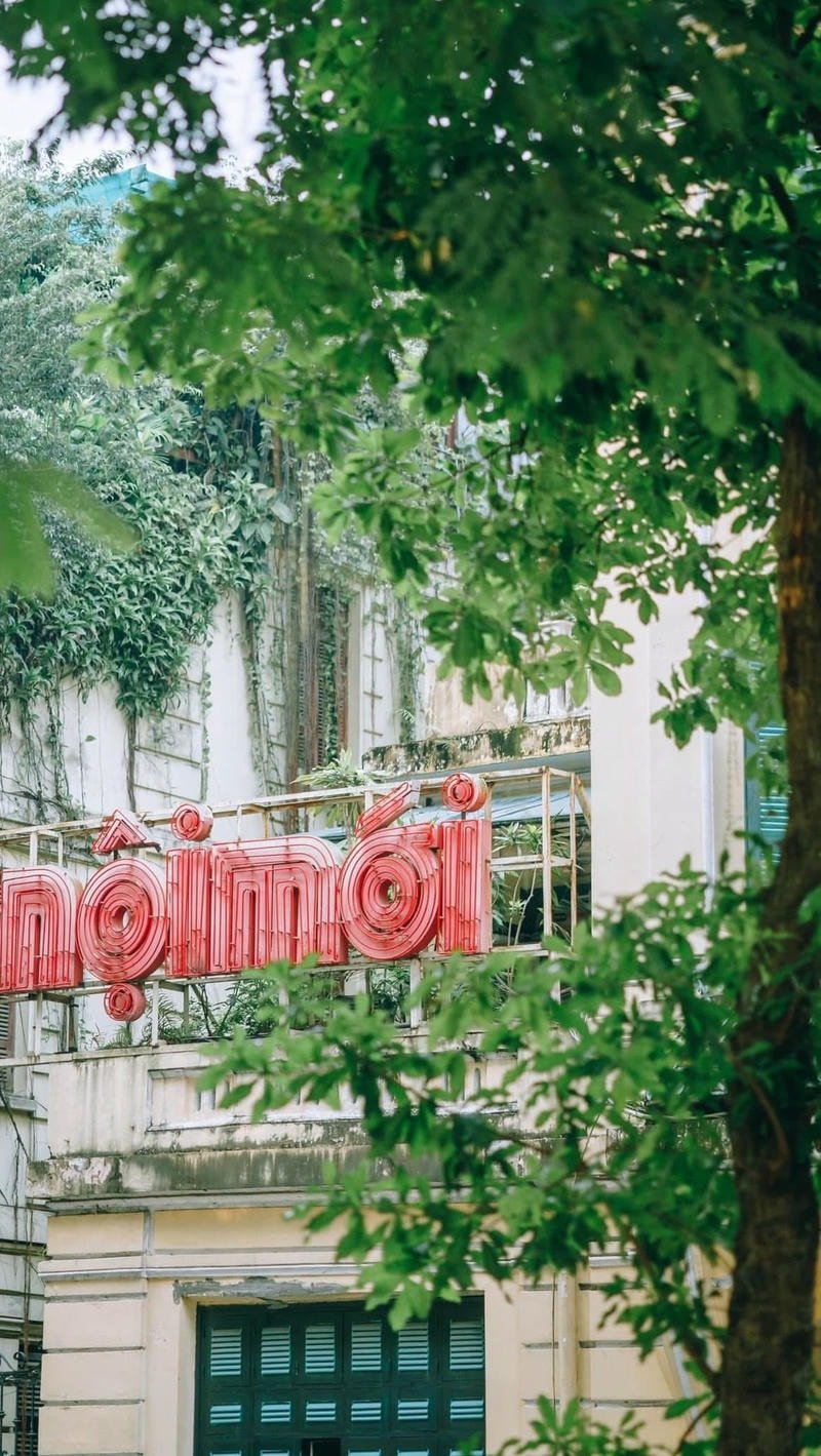 hình nền lá vàng