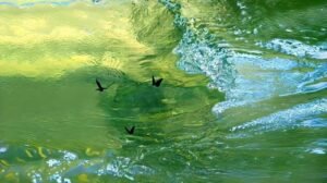 hình nền laptop đơn giản