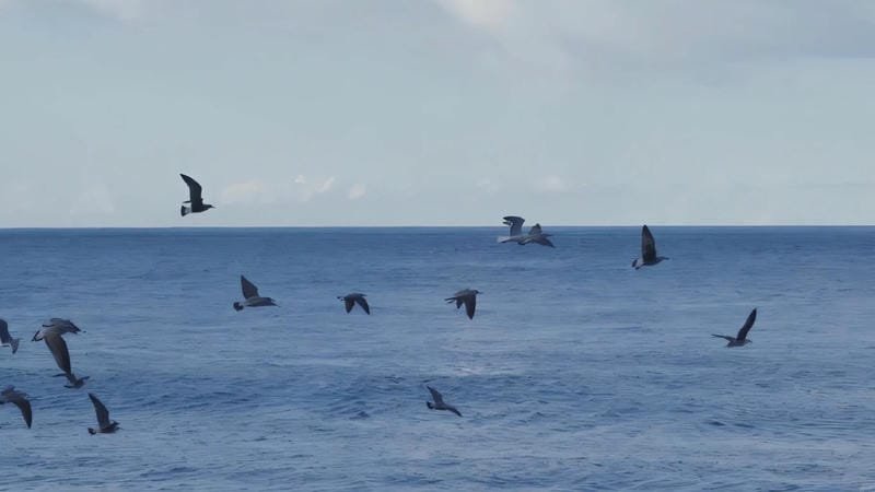 hình nền máy tính gọn gàng