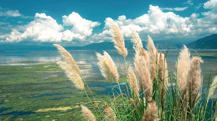 hình nền máy tính vintage 4k