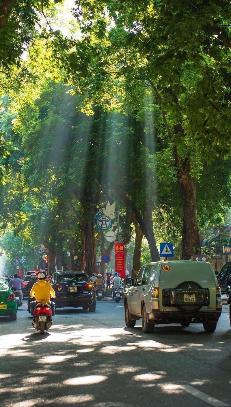 hình nền mùa thu đẹp
