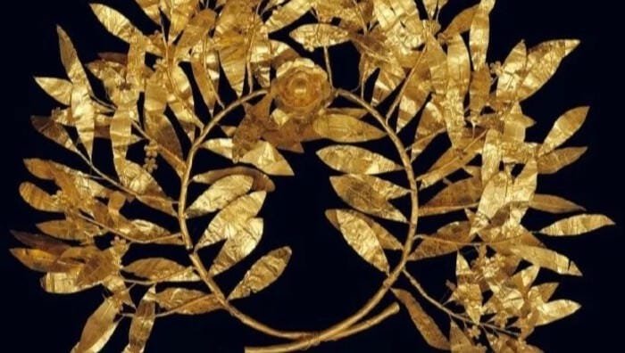 hình nền nguyệt quế biểu tượng