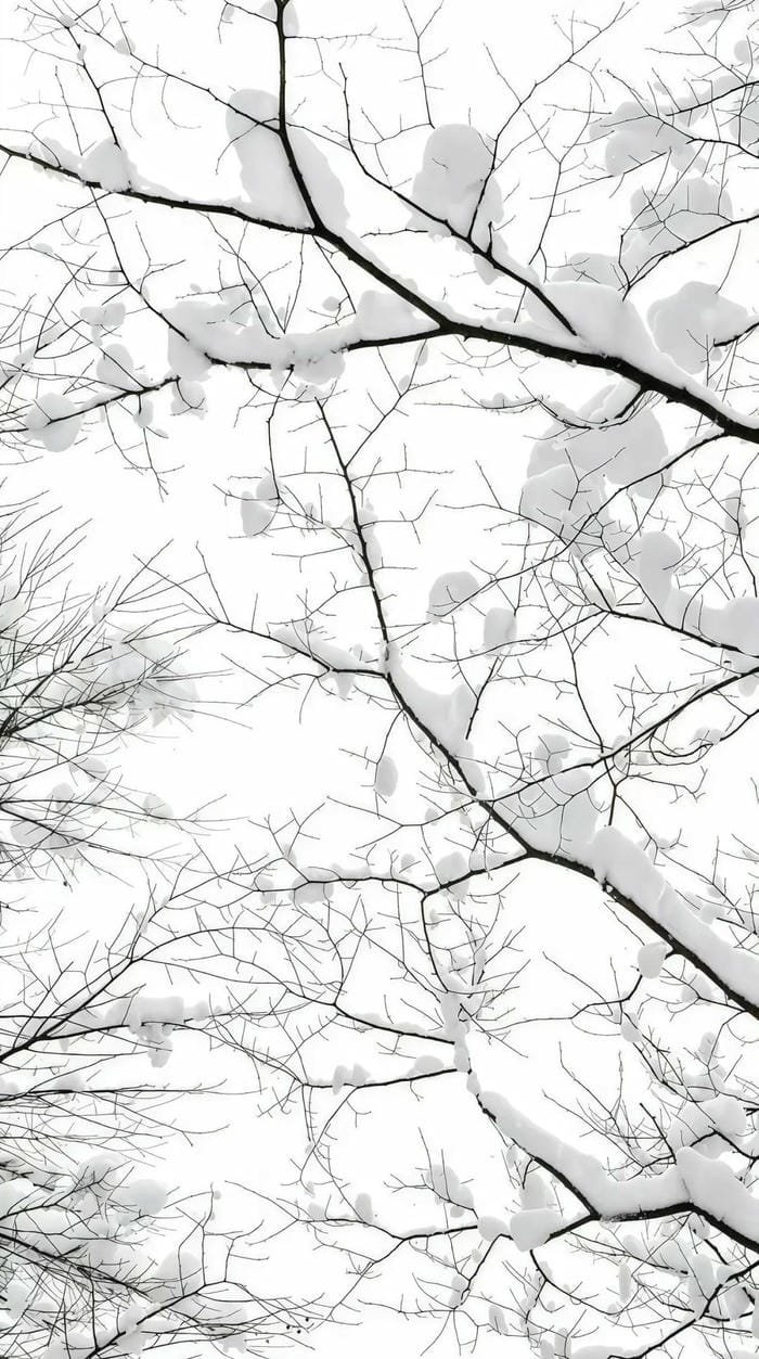 hình nền trắng tuyết