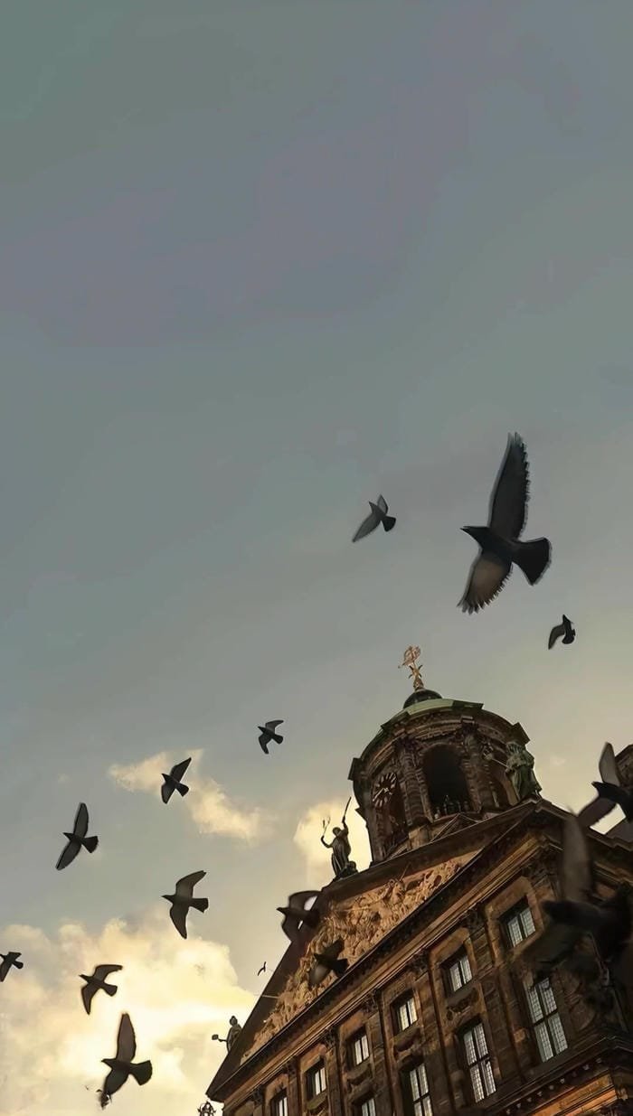 hình nền vintage nhẹ nhàng