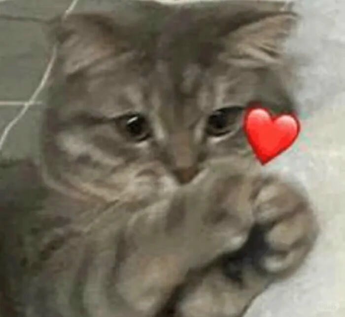 ảnh cartoon thả tim