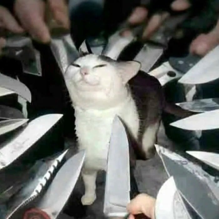 meme bựa kiểu Việt