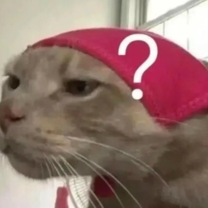 meme bựa mèo hài