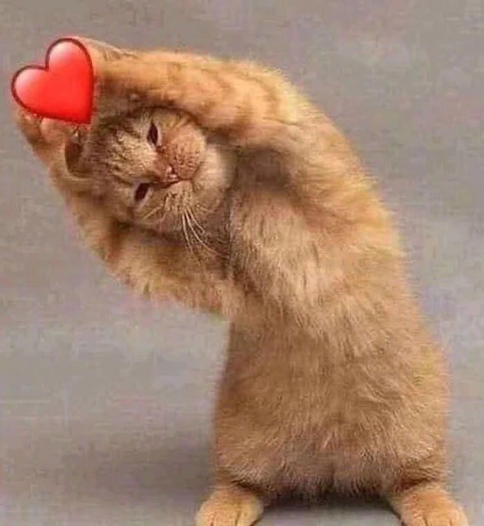 meme cảm xúc dễ thương