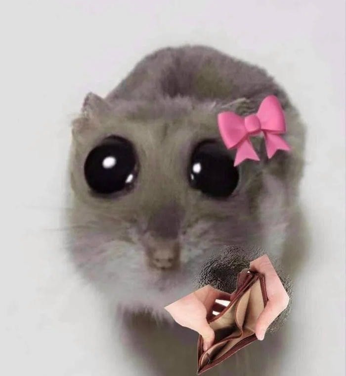 meme ví không còn tiền