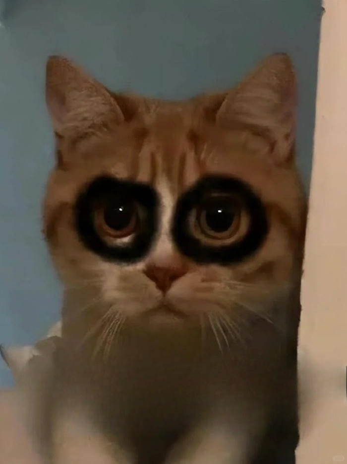 ảnh chế mất ngủ