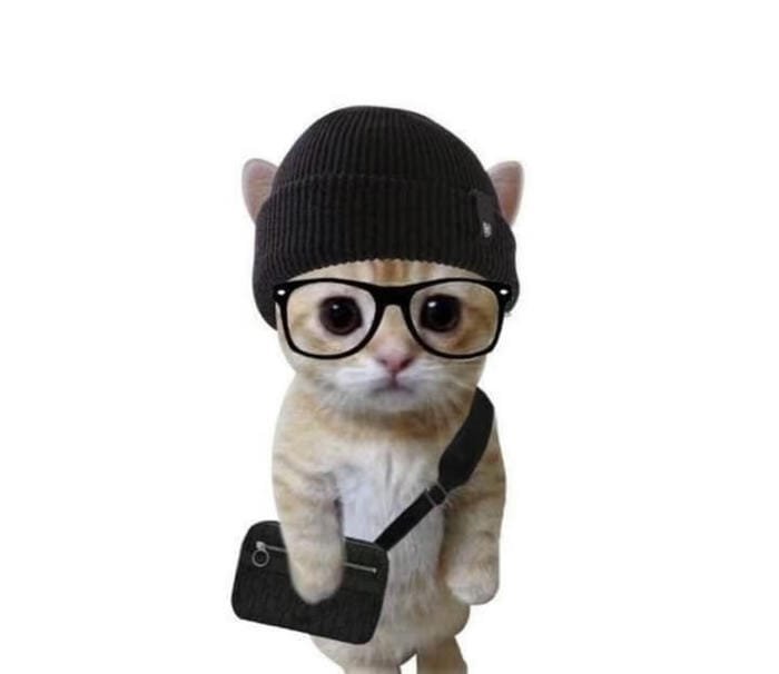 ảnh meme avatar độc đáo