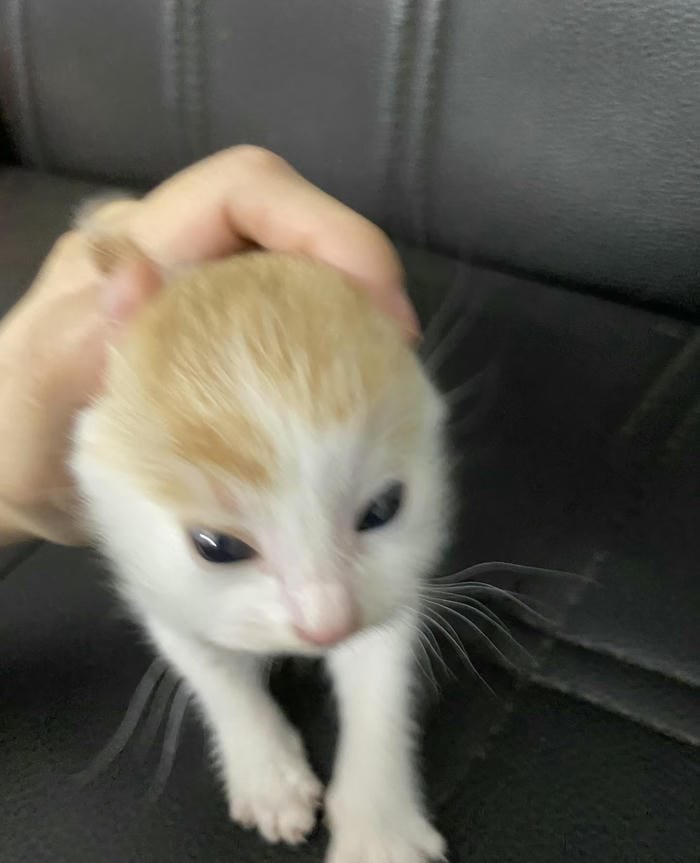 ảnh meme avatar ngầu