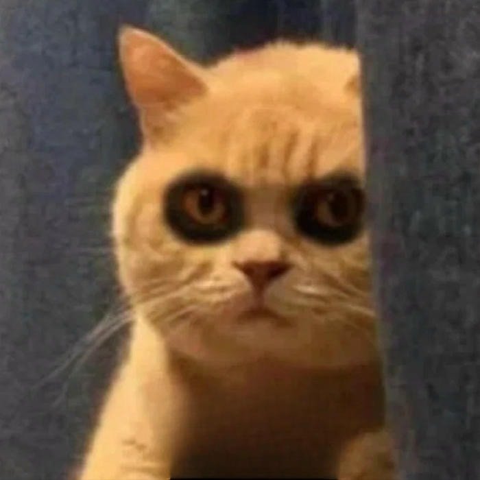 ảnh meme thức khuya