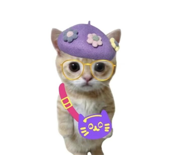 avatar meme hài hước