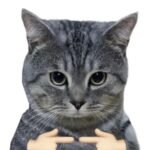 avatar meme ngầu lòi