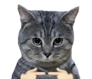 avatar meme ngầu lòi