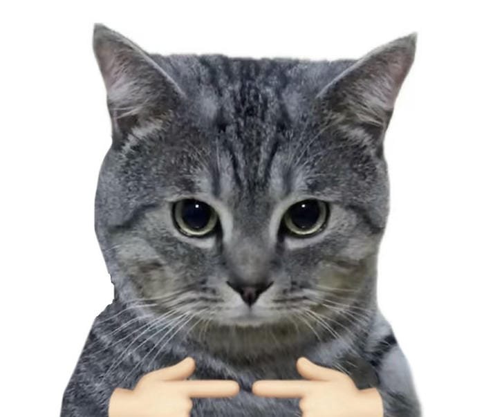 avatar meme ngầu lòi