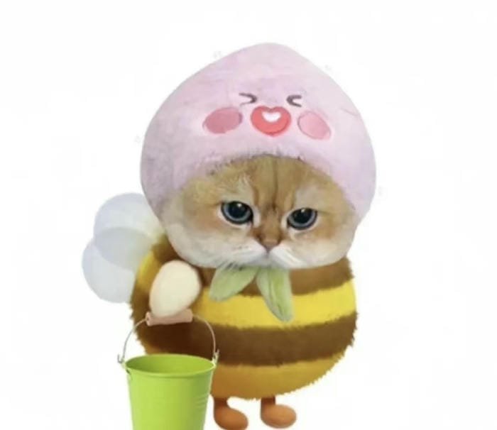 avatar meme phong cách