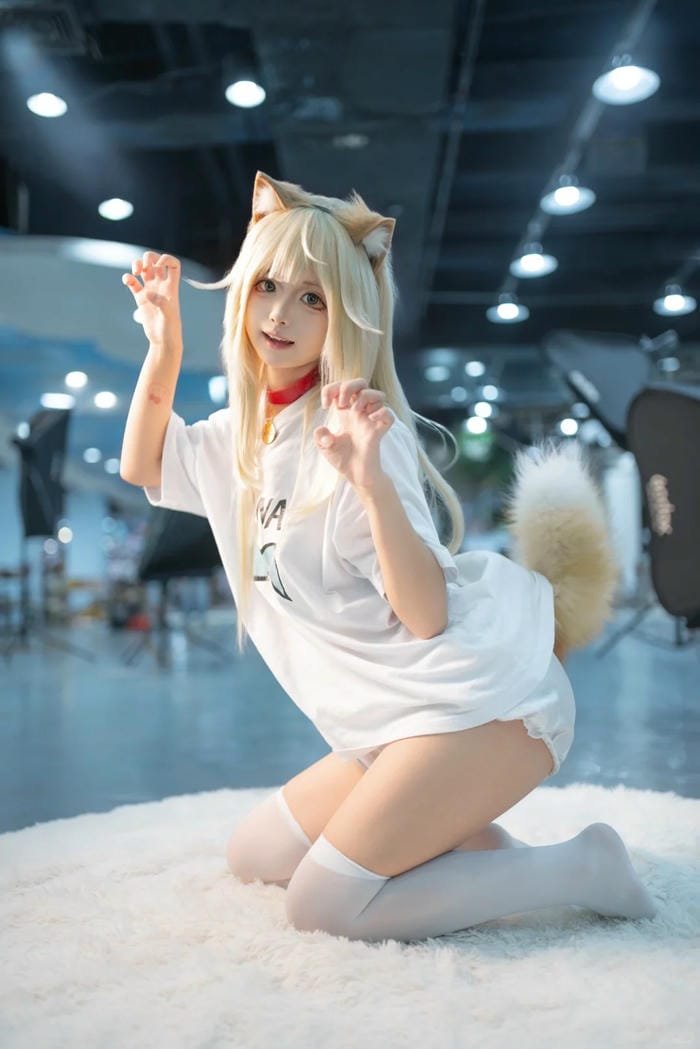 hình mèo cosplay ngầu