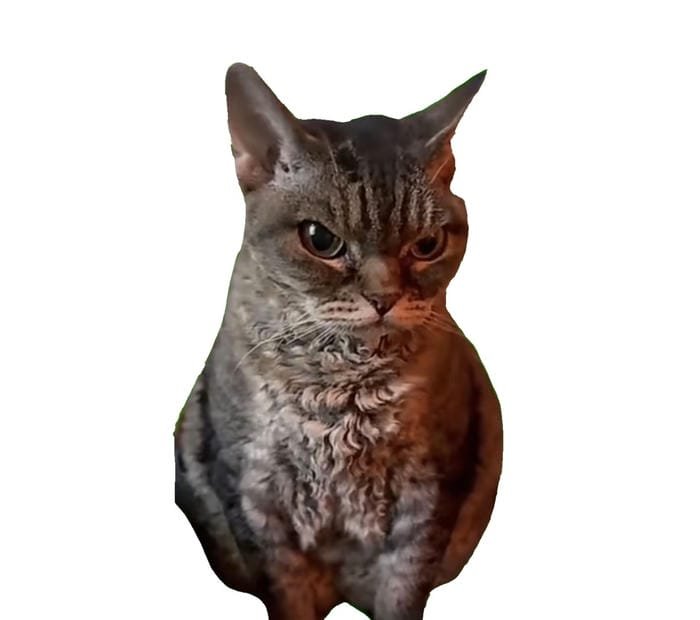 meme avatar ấn tượng