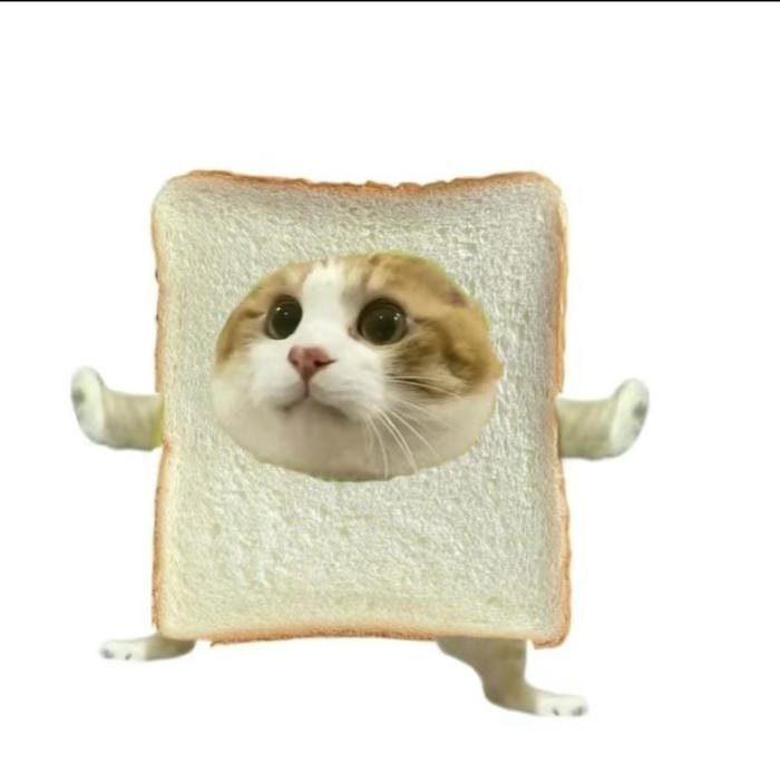 meme avatar chất chơi