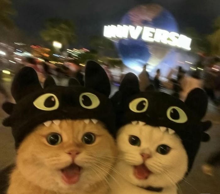 meme avatar chất lừ