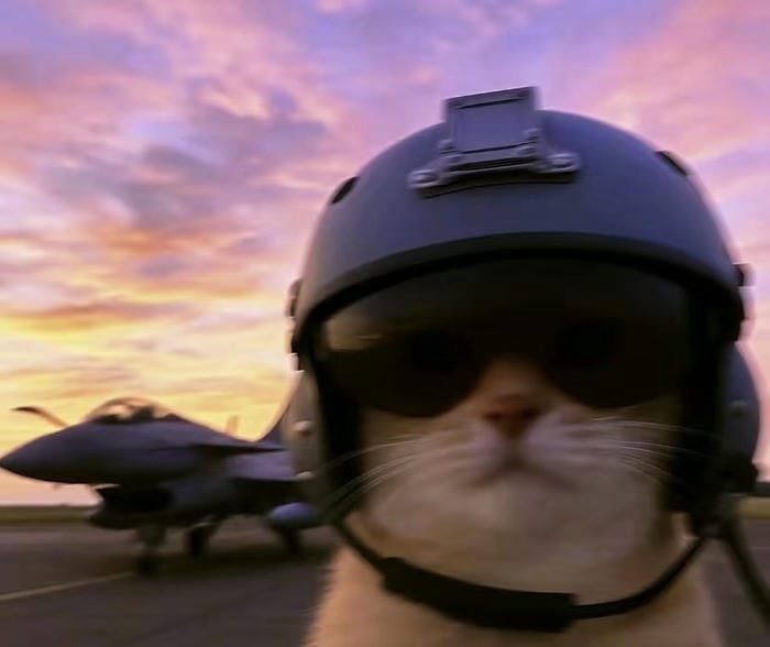 meme avatar phong cách