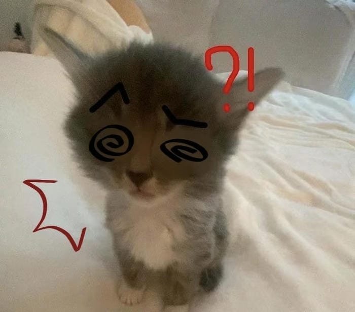 meme avatar vibe vui