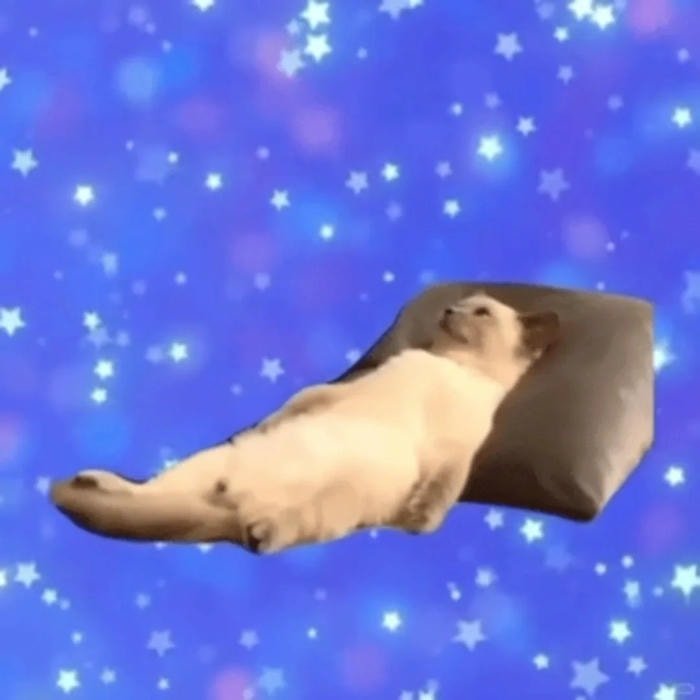 reaction mất ngủ