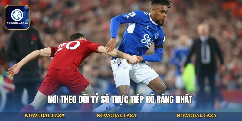 noi-theo-doi-ty-so-truc-tiep-ro-rang-nhat
