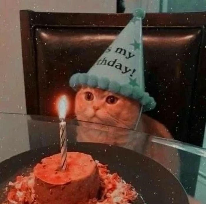 Avatar sinh nhật nhìn rất vui