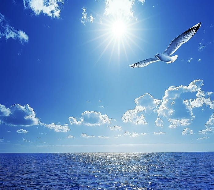 ảnh avatar xanh dương màu hài hòa